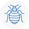 Bed Bug Extermination In Lymington