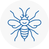 Lymington Hornet Nest Removals